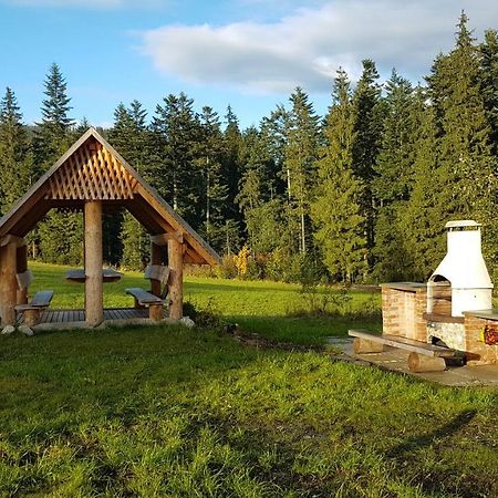 Apartament Stalowy Koscielisko Sywarne Bagian luar foto